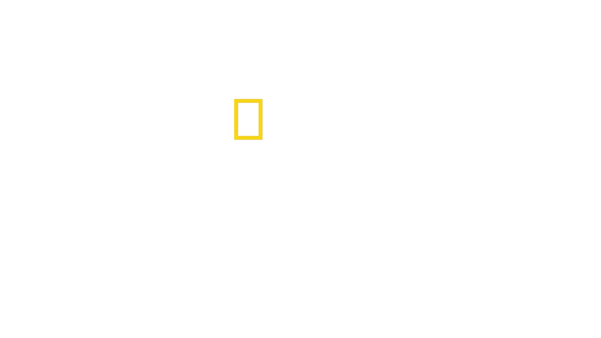 Vårt ursprung: Historien om människans utveckling