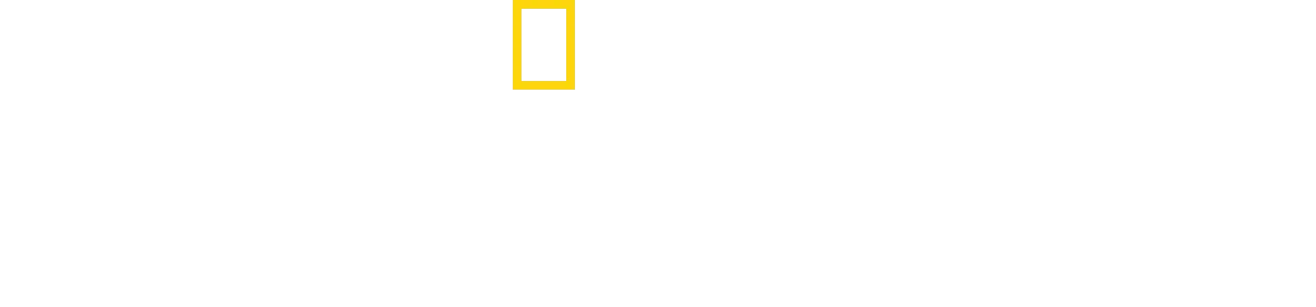 Vårt ursprung: Historien om människans utveckling