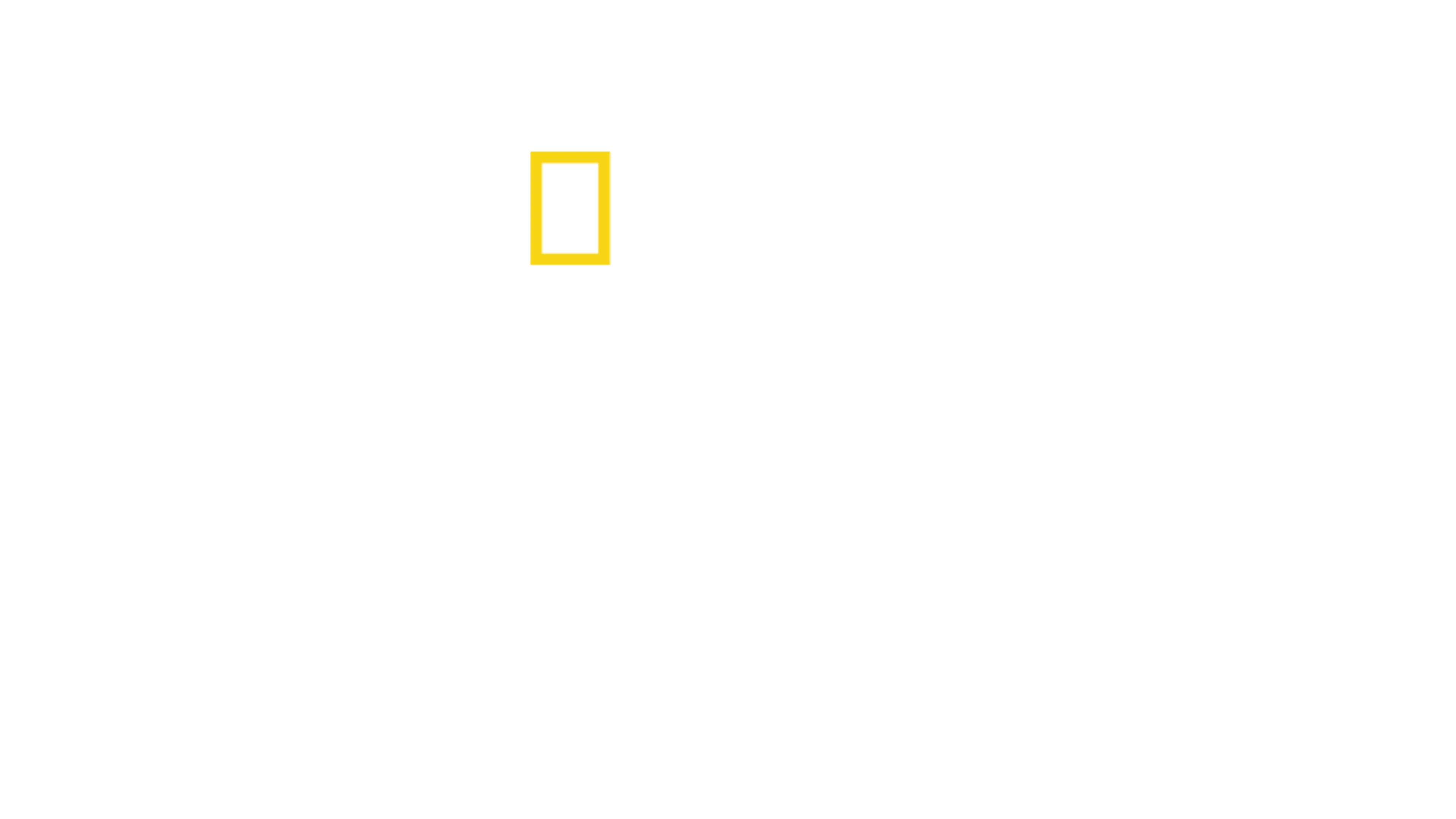 失落岛之鲨