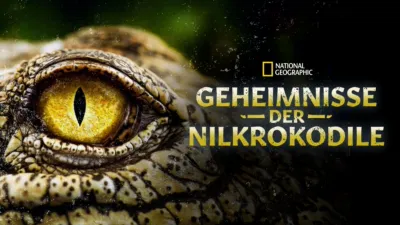 Geheimnisse der Nilkrokodile