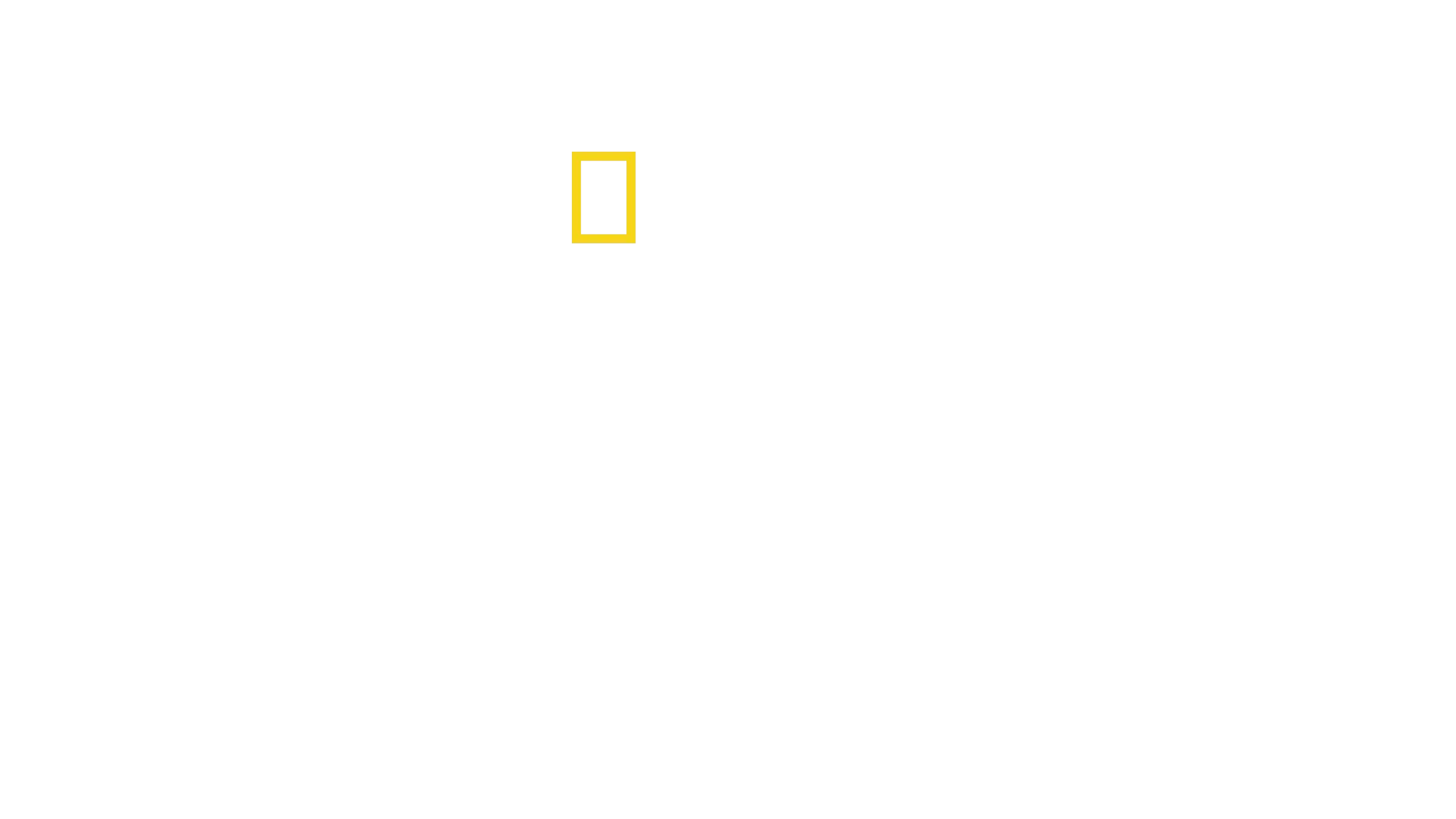 Tajomstvá veľrýb