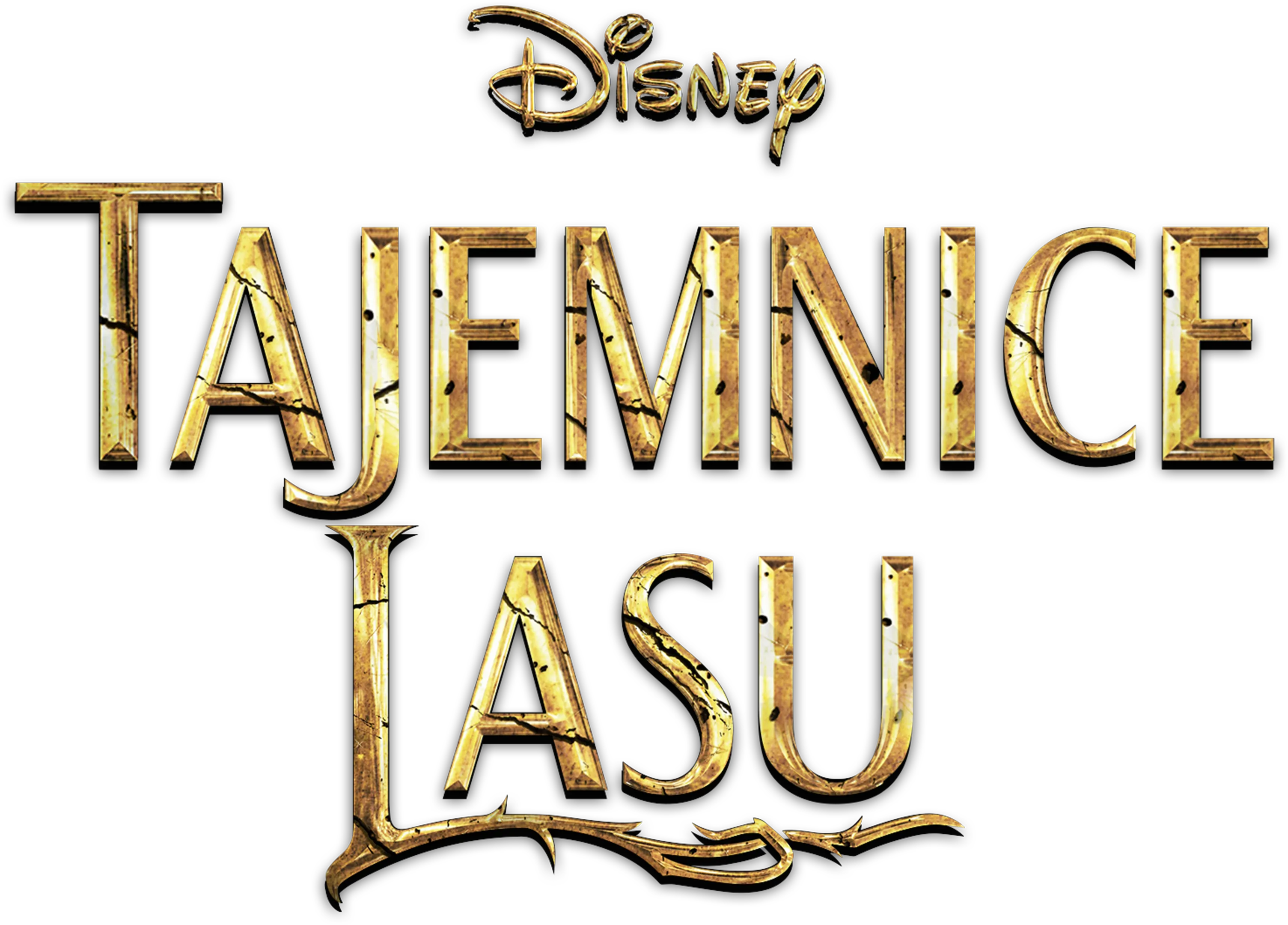 Tajemnice Lasu