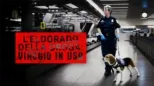 thumbnail - L’Eldorado della droga: Viaggio in USA