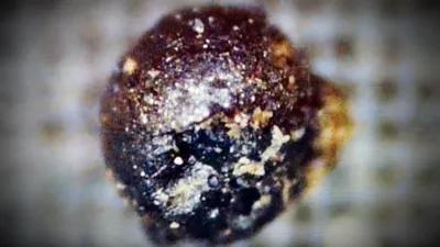 thumbnail - S21:E1 The Top Ten Extraordinary Discoveries