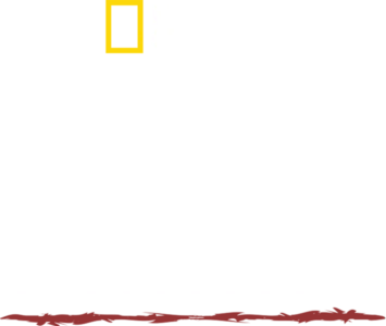 Umění přežít