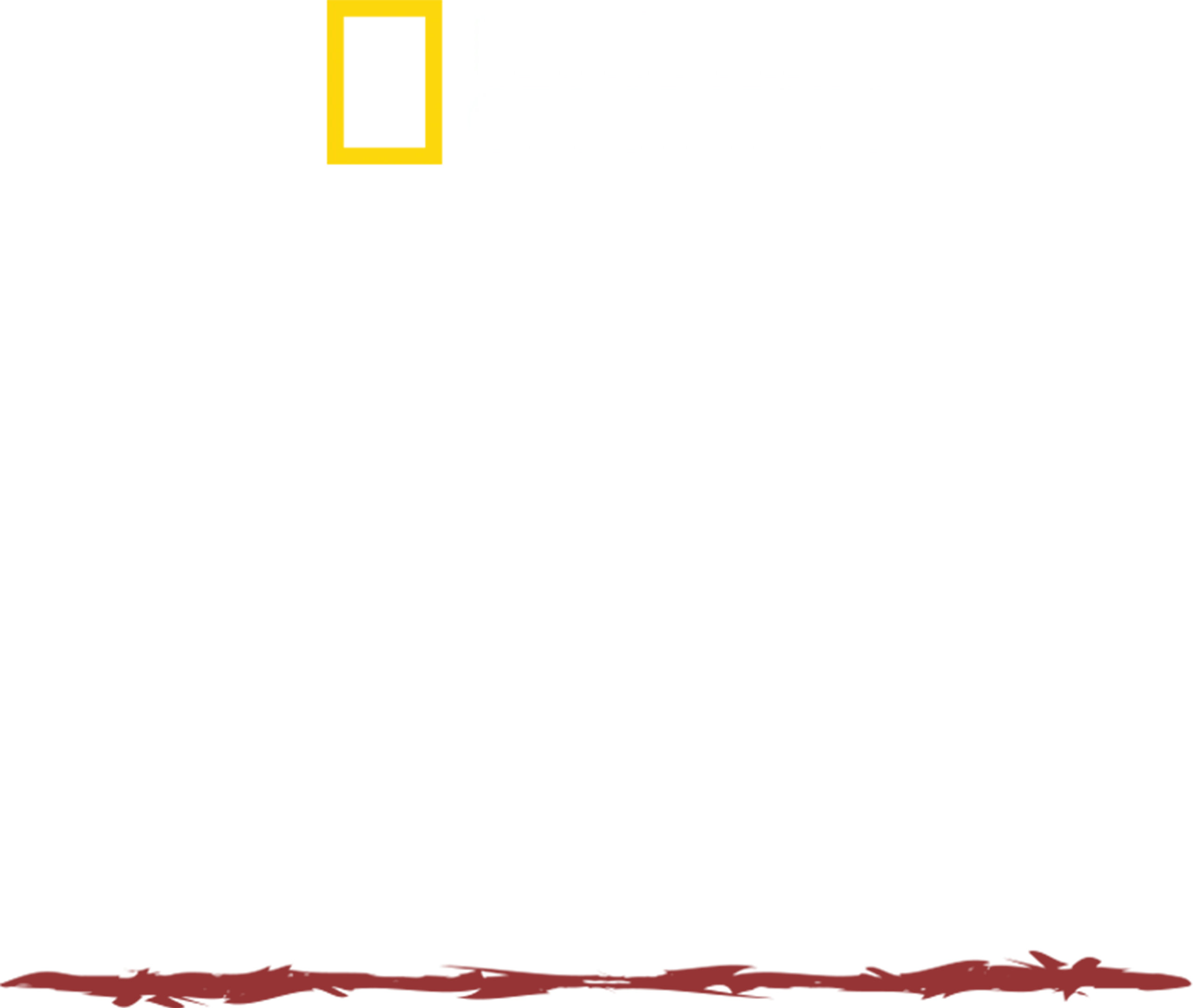 Umění přežít