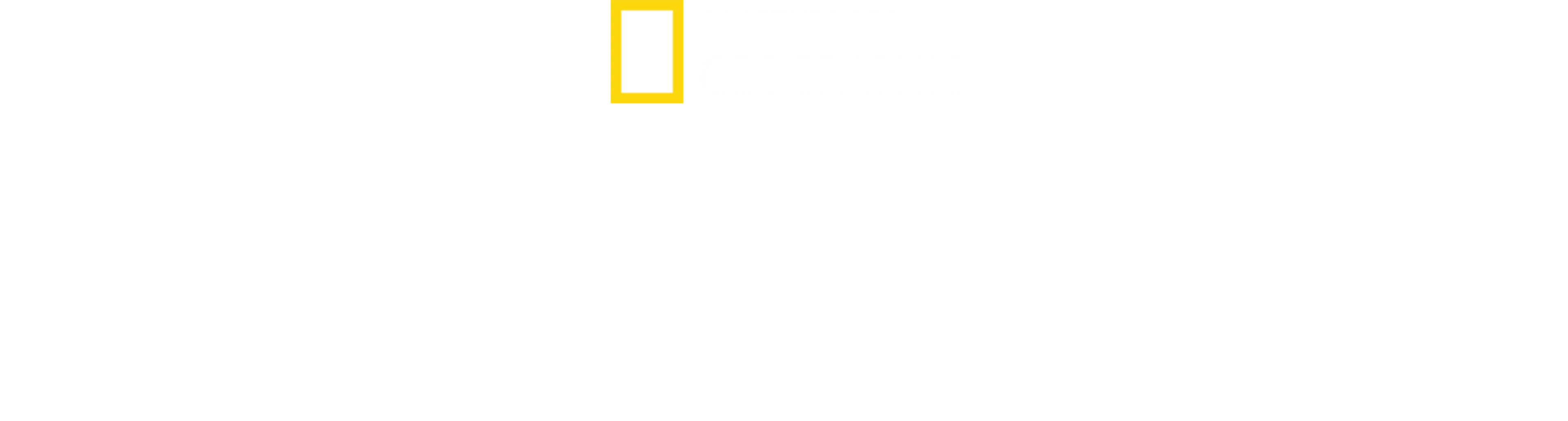 非洲致命動物