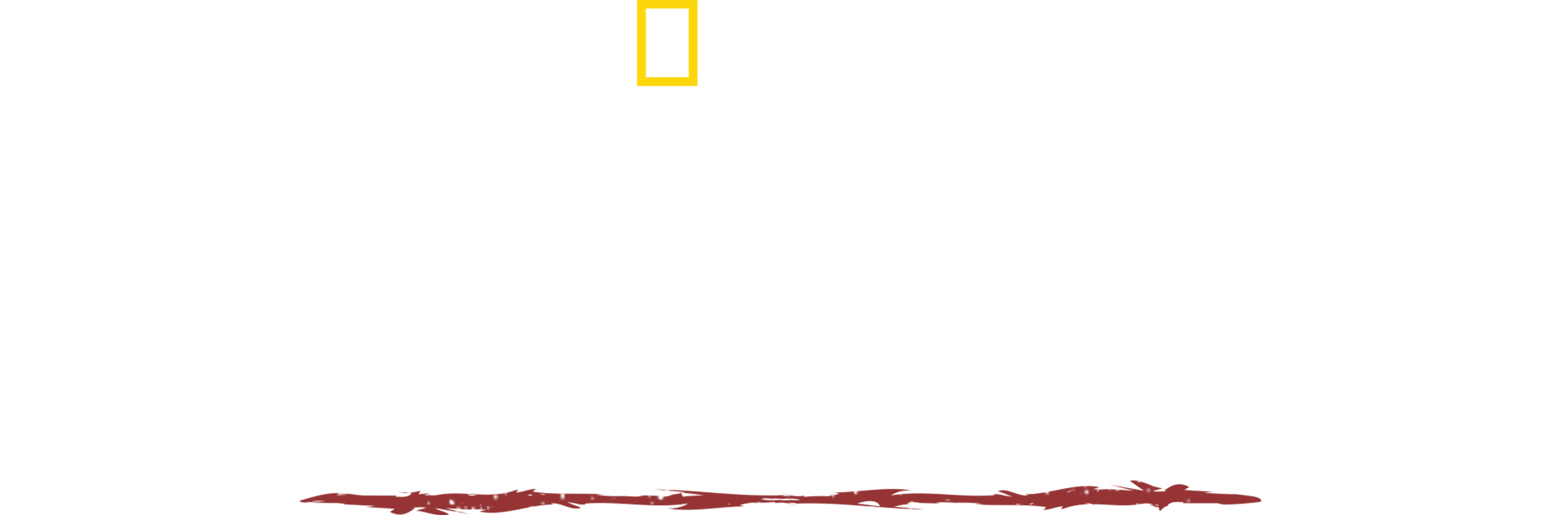 Sopravvivenza estrema