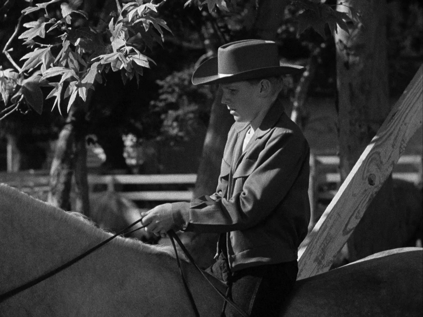 thumbnail - S1:E12 The Secret Ride