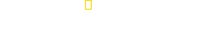 Csodálatos landolás a Hudson folyón