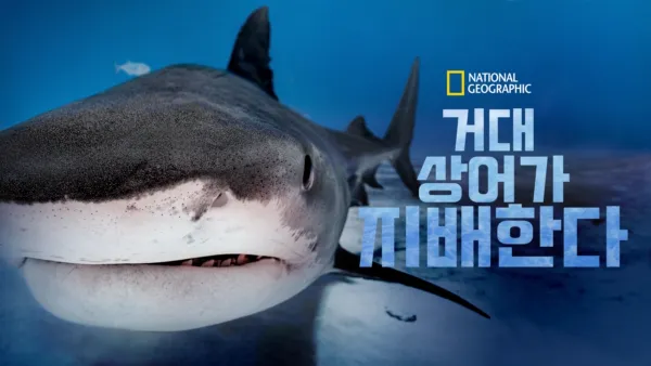 thumbnail - 거대 상어가 지배한다