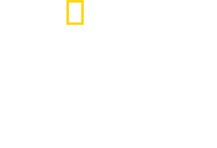 Ataque de tiburones