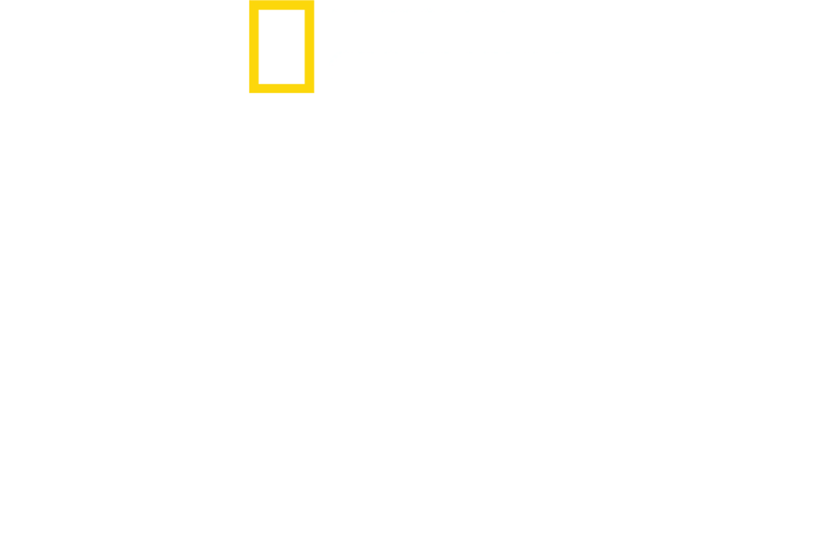 Ataque de tiburones