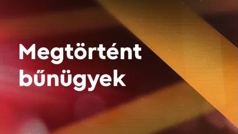 thumbnail - Megtörtént bűnügyek