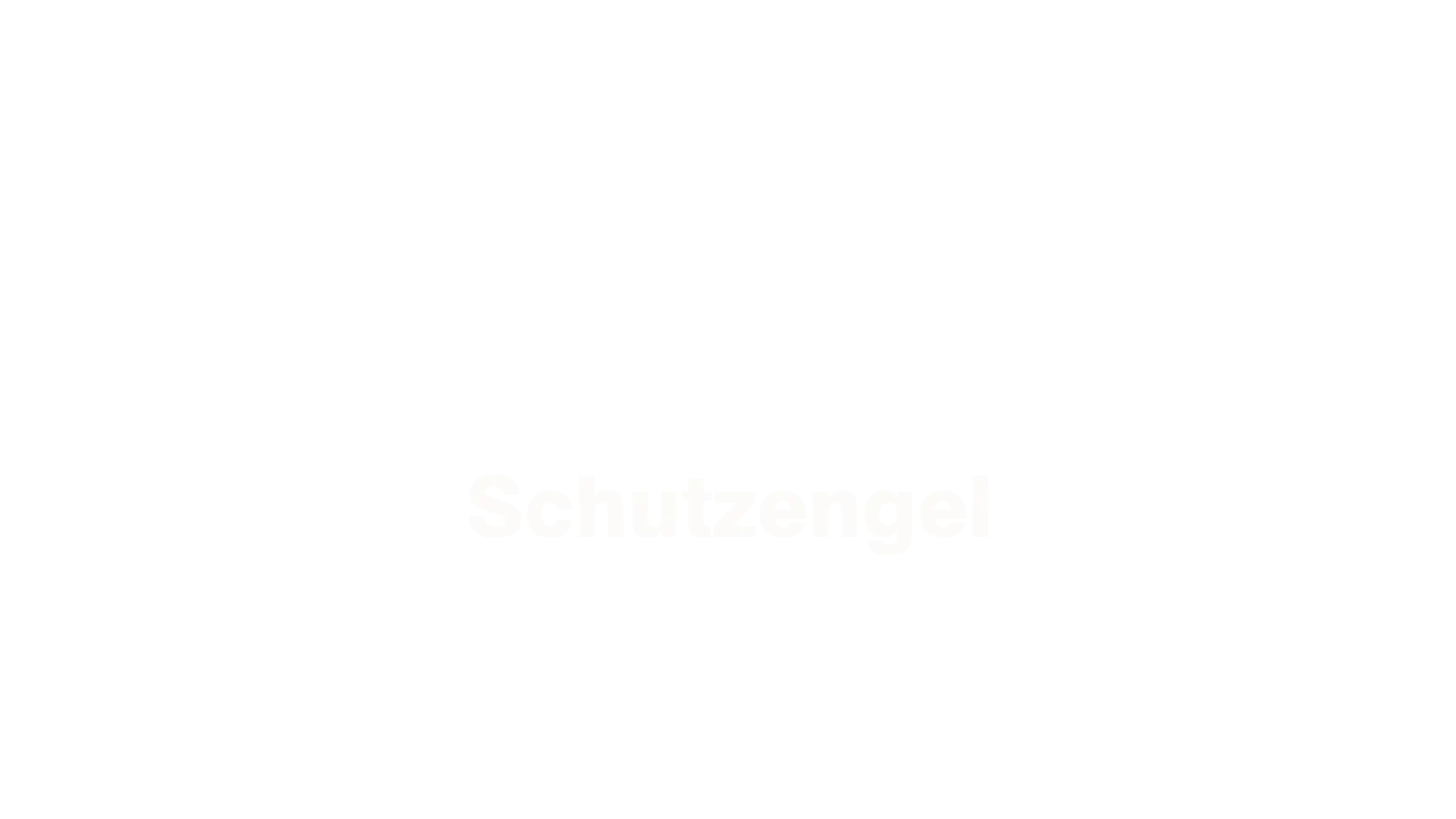 Wilsberg - Schutzengel
