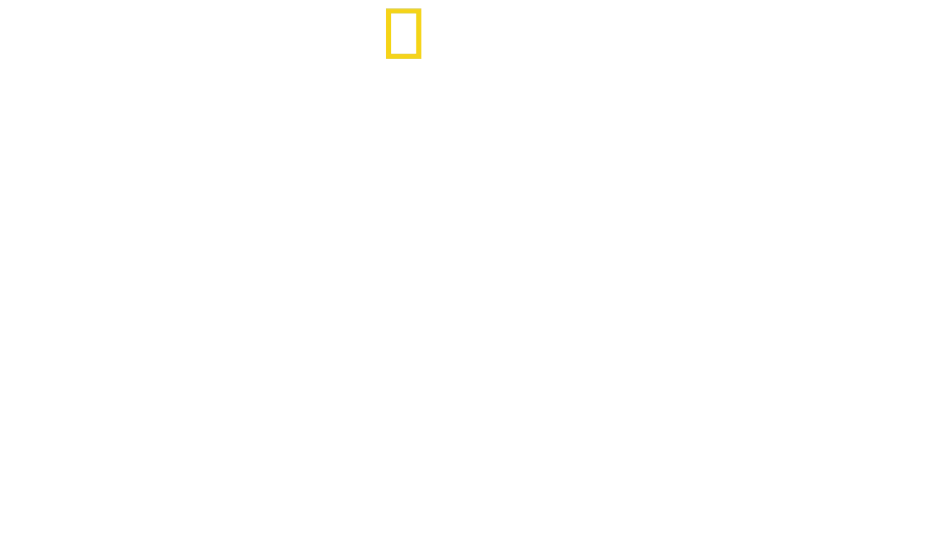 Il ritorno del leopardo nuvola