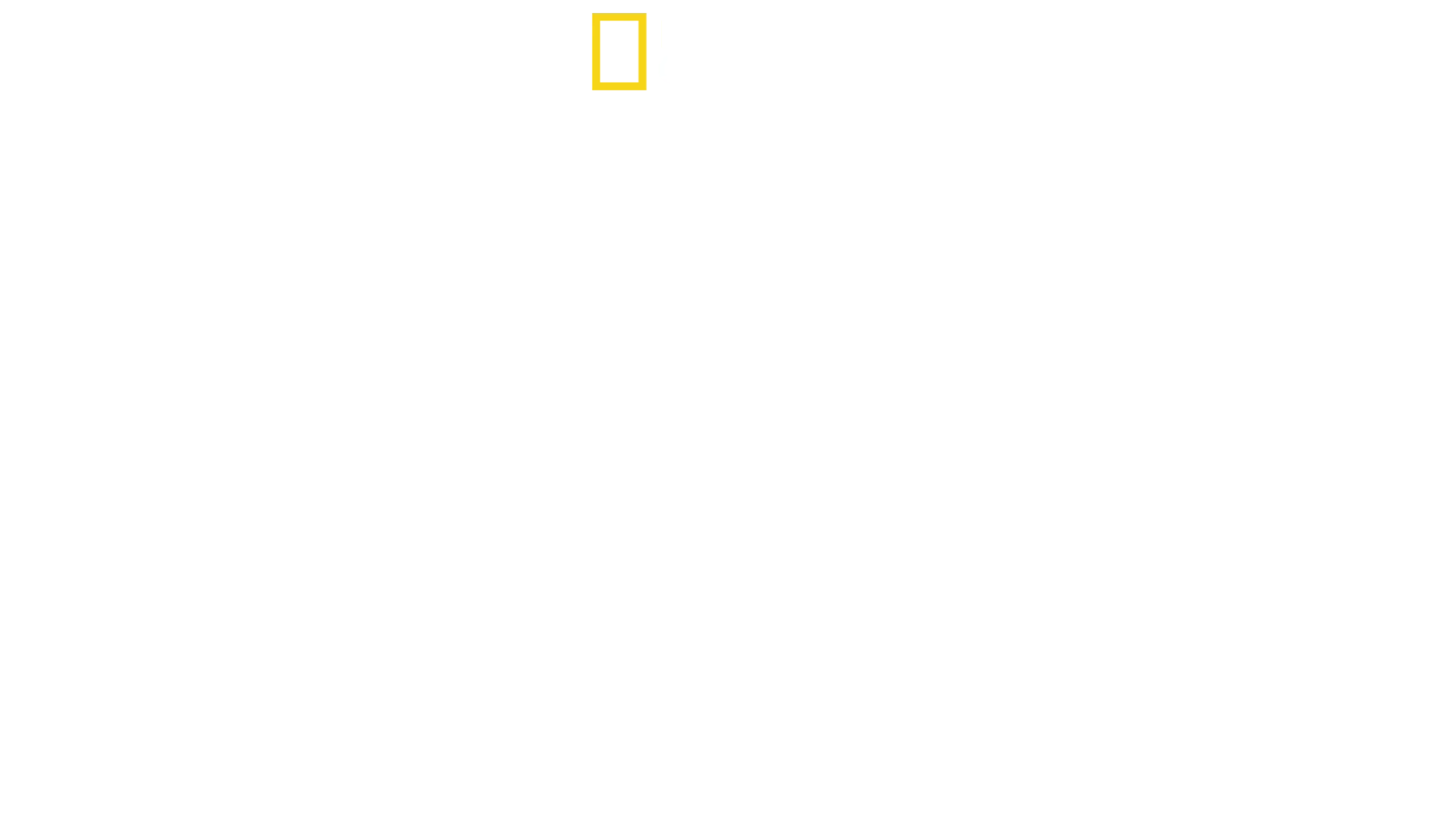 Il ritorno del leopardo nuvola