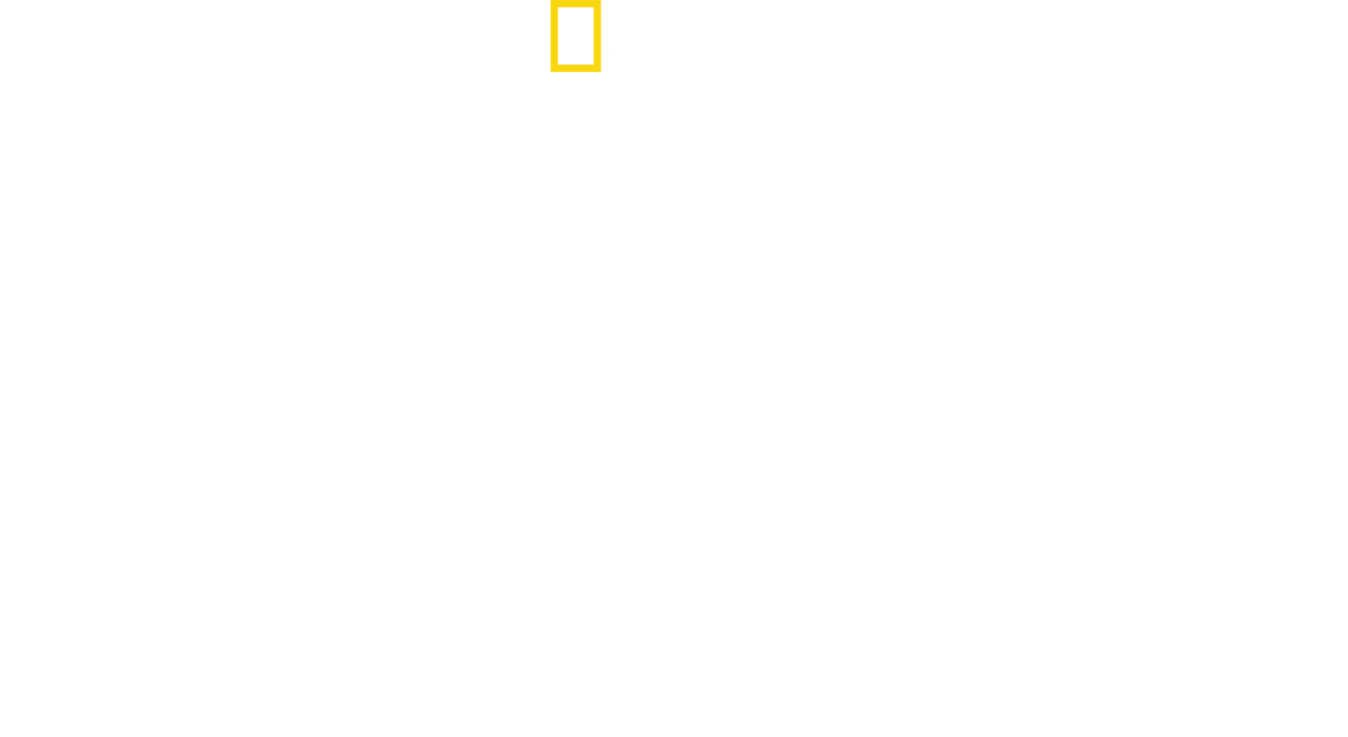 Il ritorno del leopardo nuvola