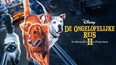 thumbnail - De Ongelofelijke Reis 2: Verdwaald In San Francisco