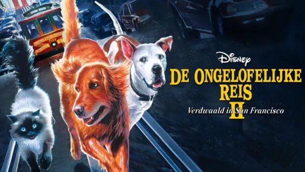 thumbnail - De Ongelofelijke Reis 2: Verdwaald In San Francisco