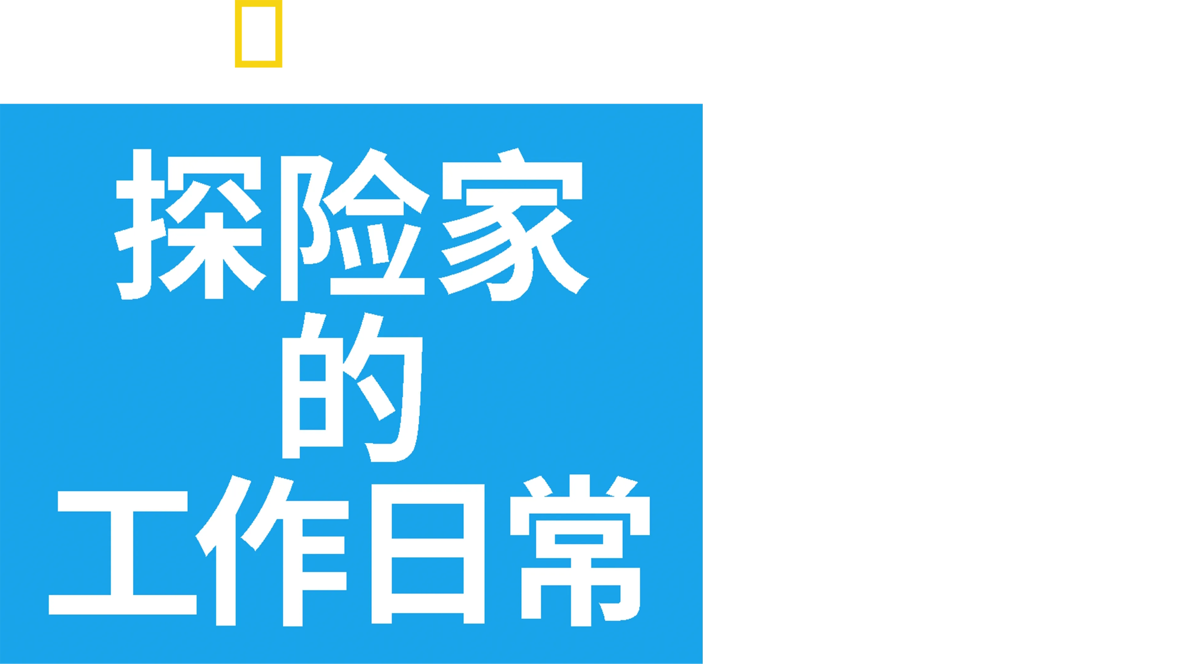 探险家的工作日常