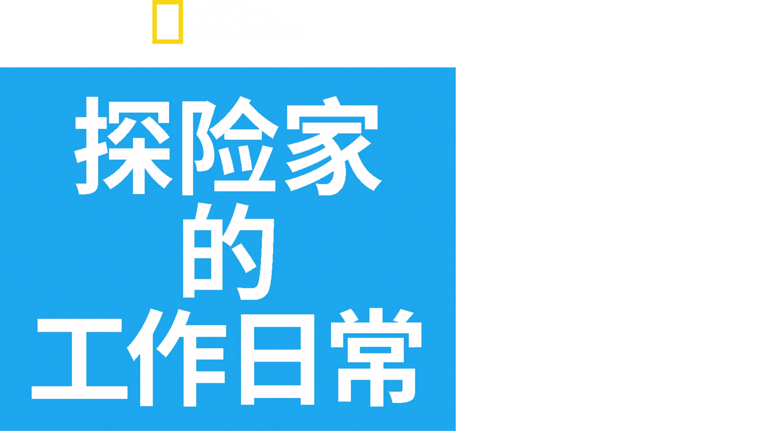 探险家的工作日常