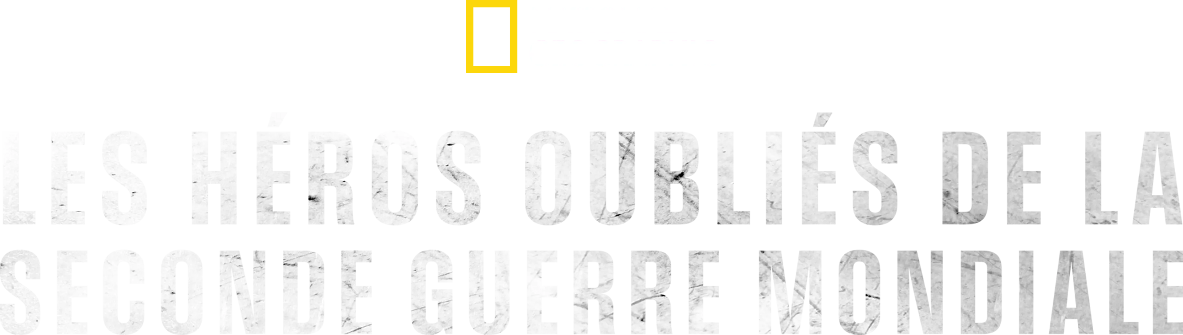 Les héros oubliés de la Seconde Guerre mondiale