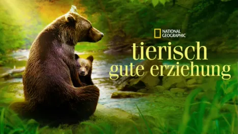 thumbnail - Tierisch gute Erziehung
