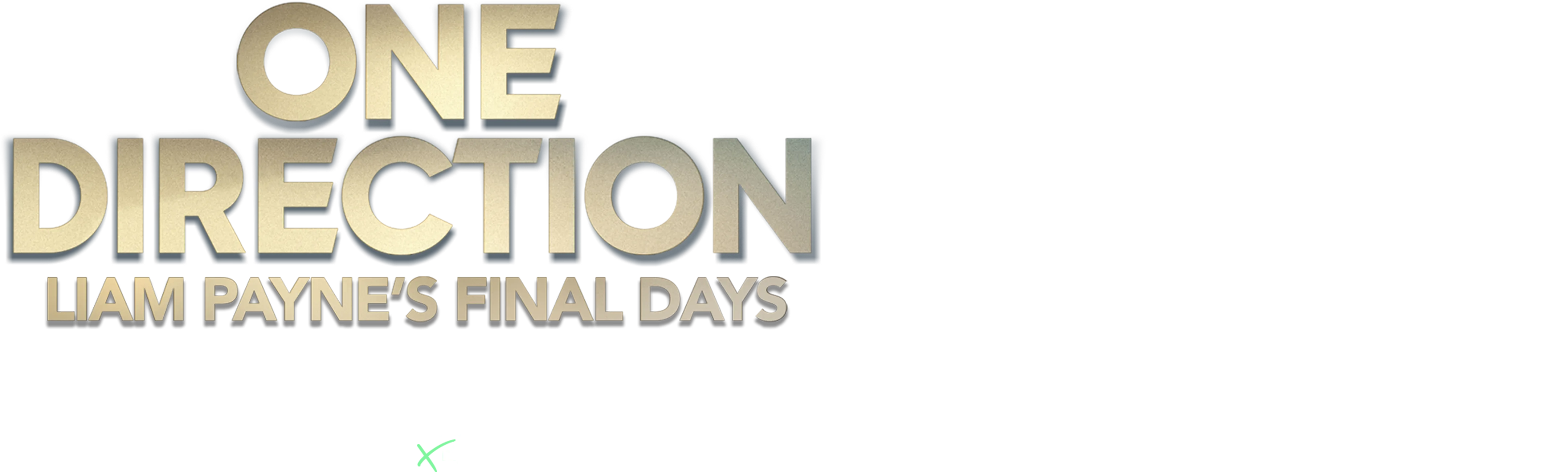 IMPACT x Nightline: One Direction: Liam Payne's Final Days