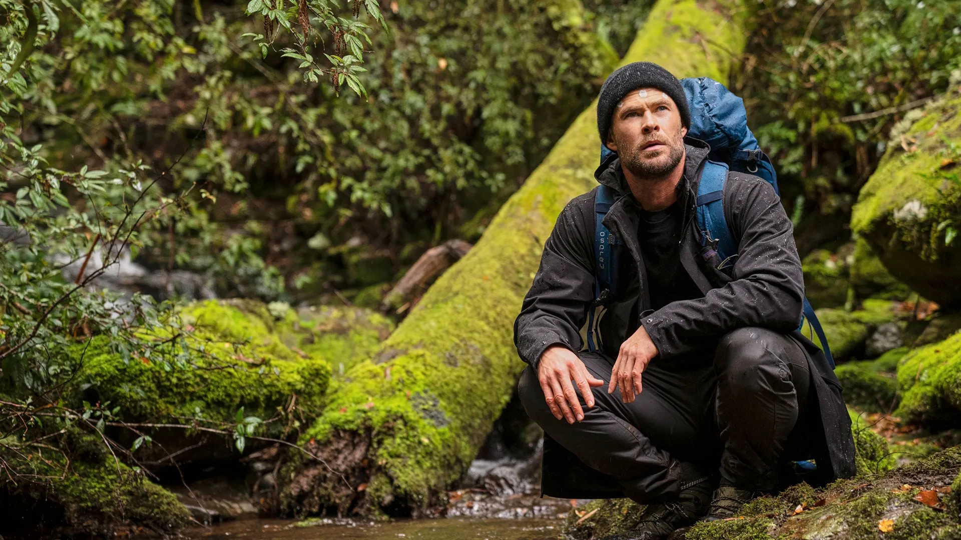 Chris Hemsworth in hiking gear crouches next to a moss covered tree branch.