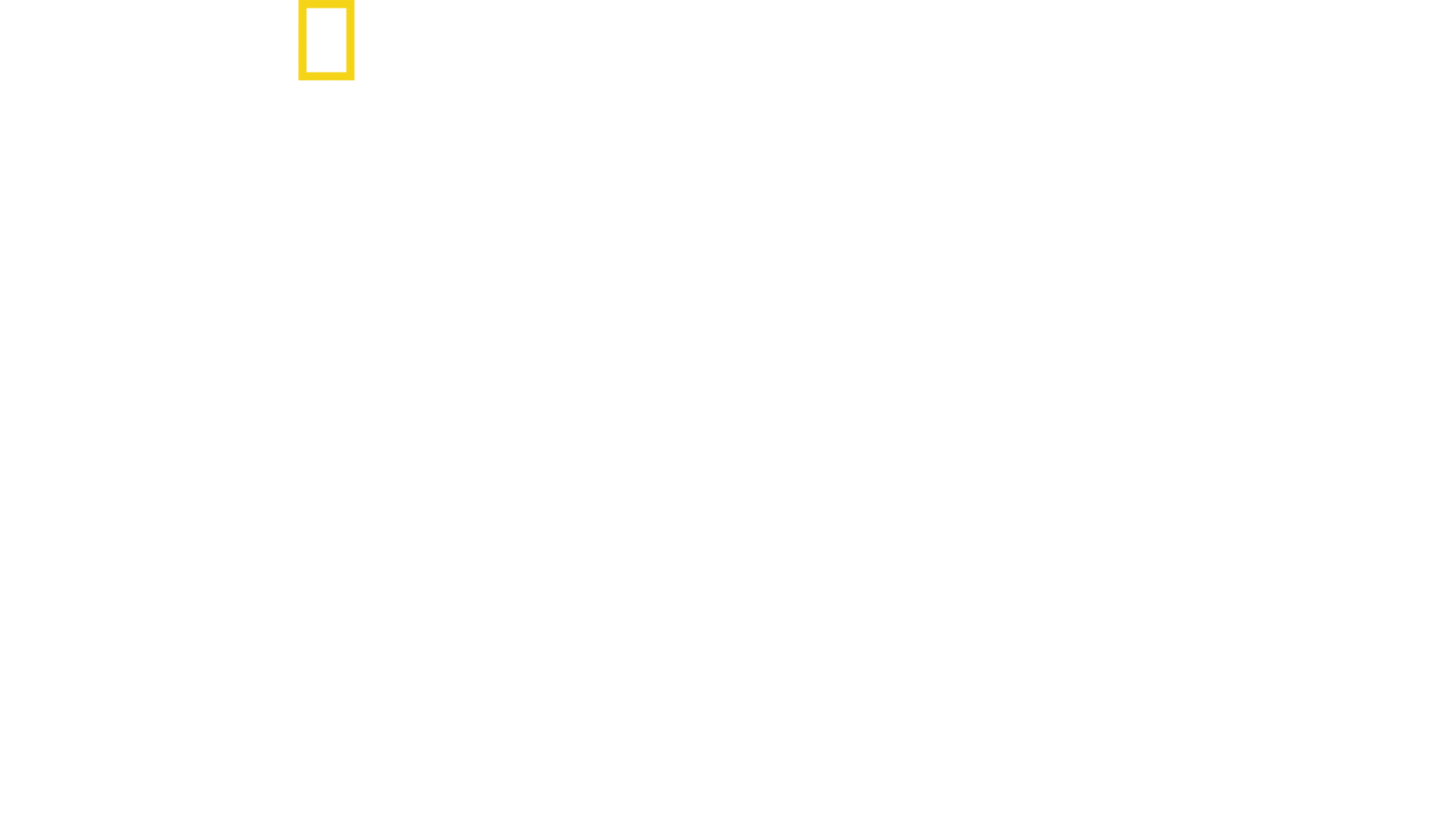 水と権力 特別篇：盗まれた資源