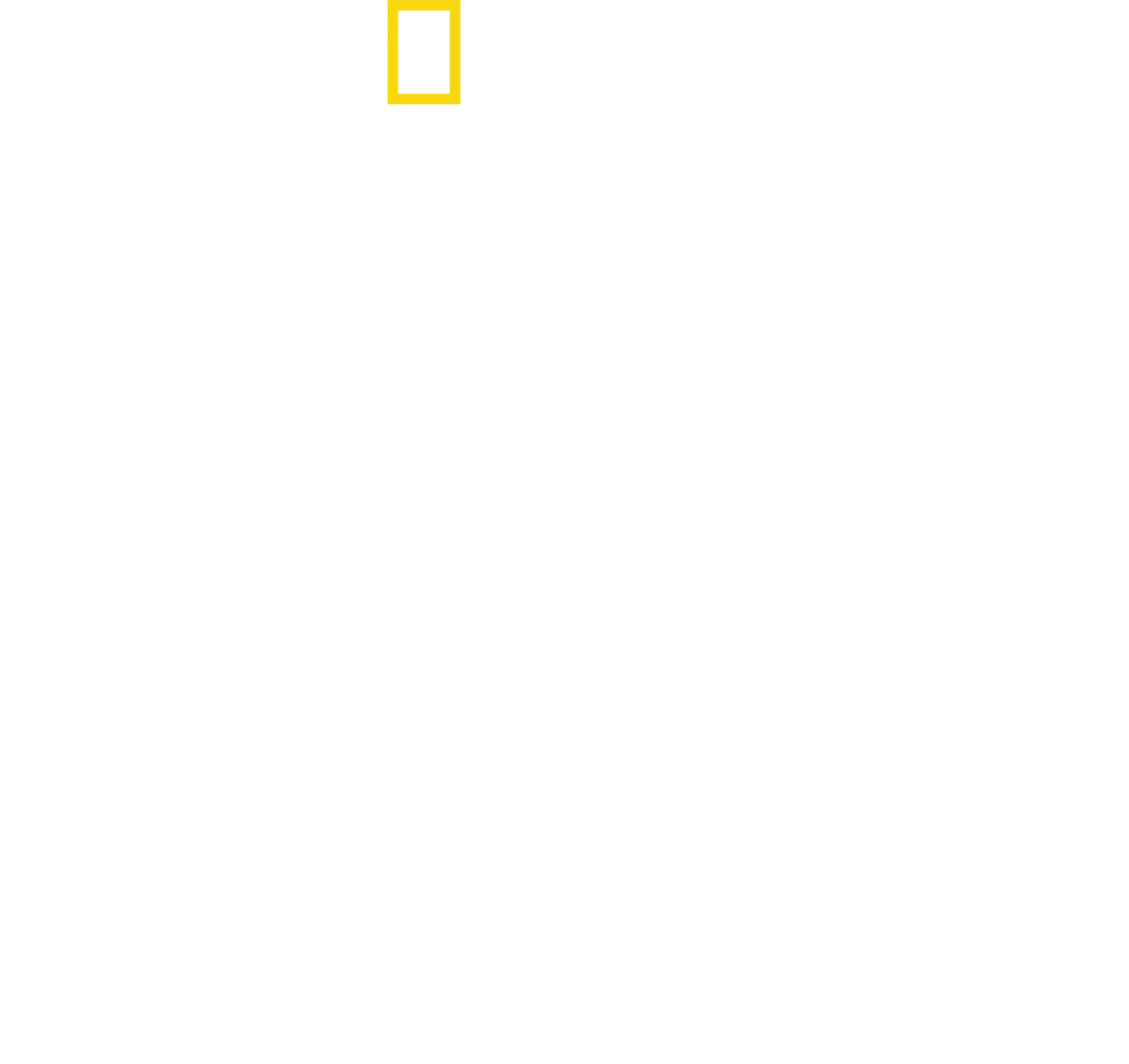 水と権力 特別篇：盗まれた資源