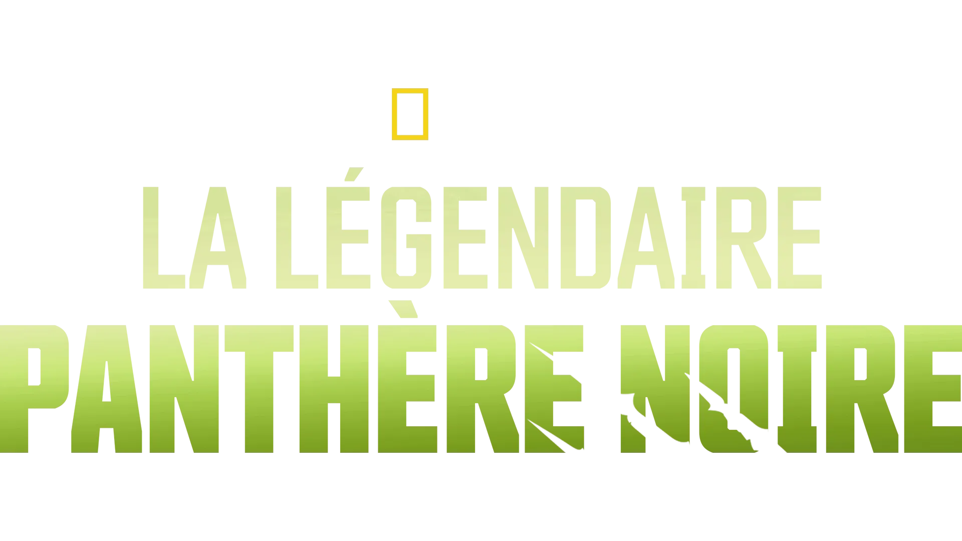 La légendaire panthère noire