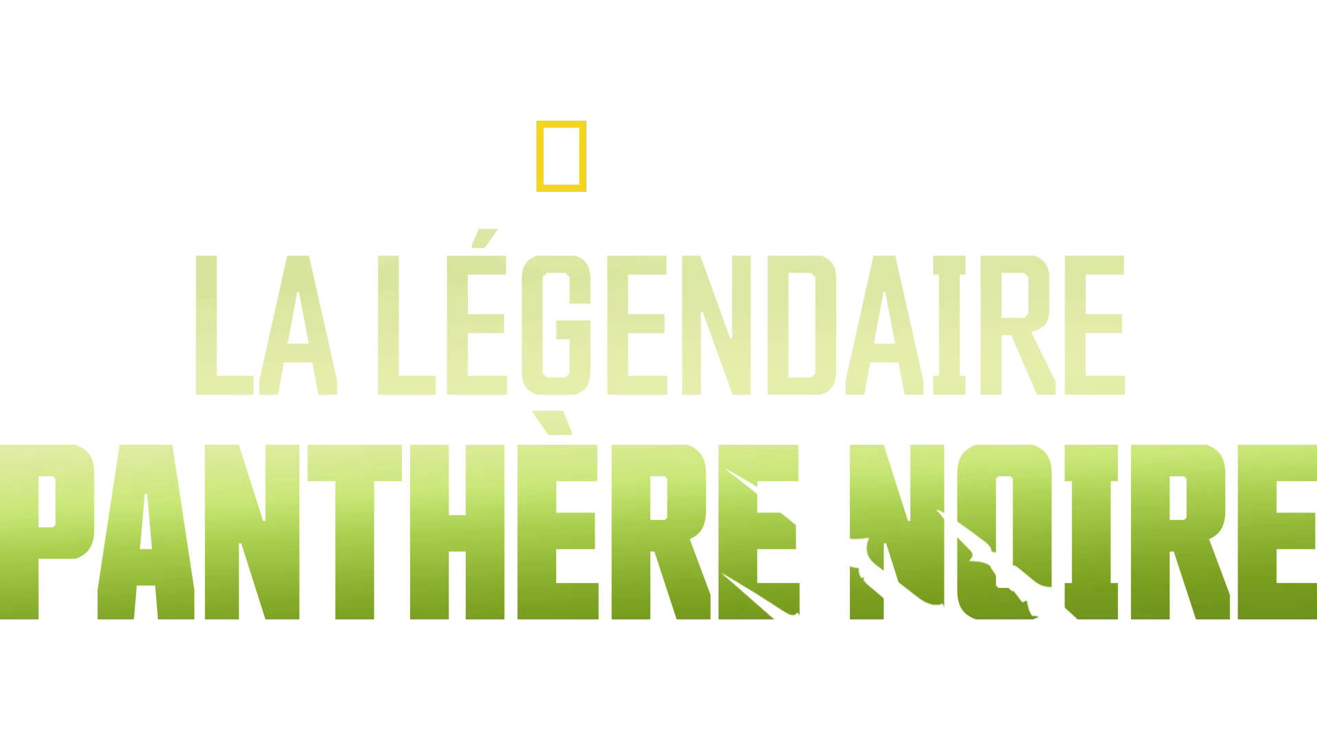 La légendaire panthère noire