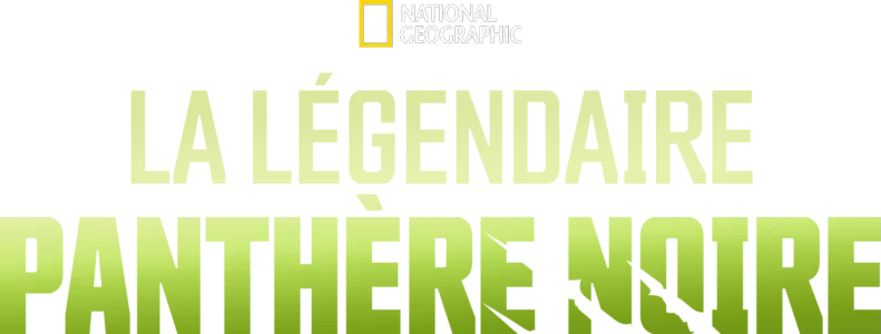 La légendaire panthère noire
