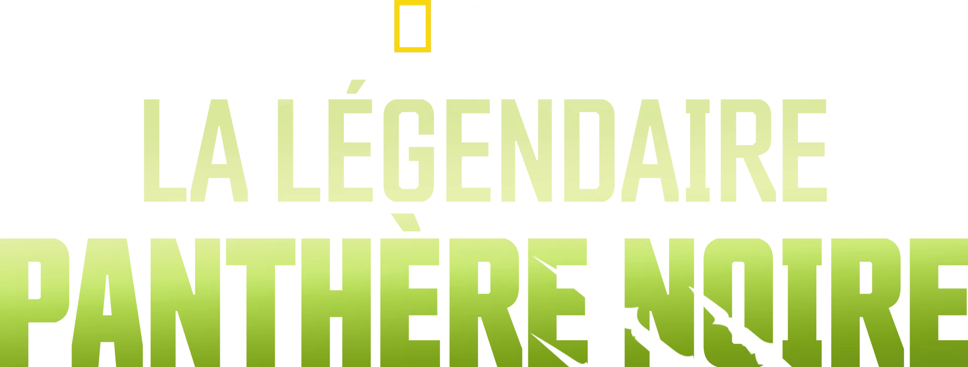 La légendaire panthère noire