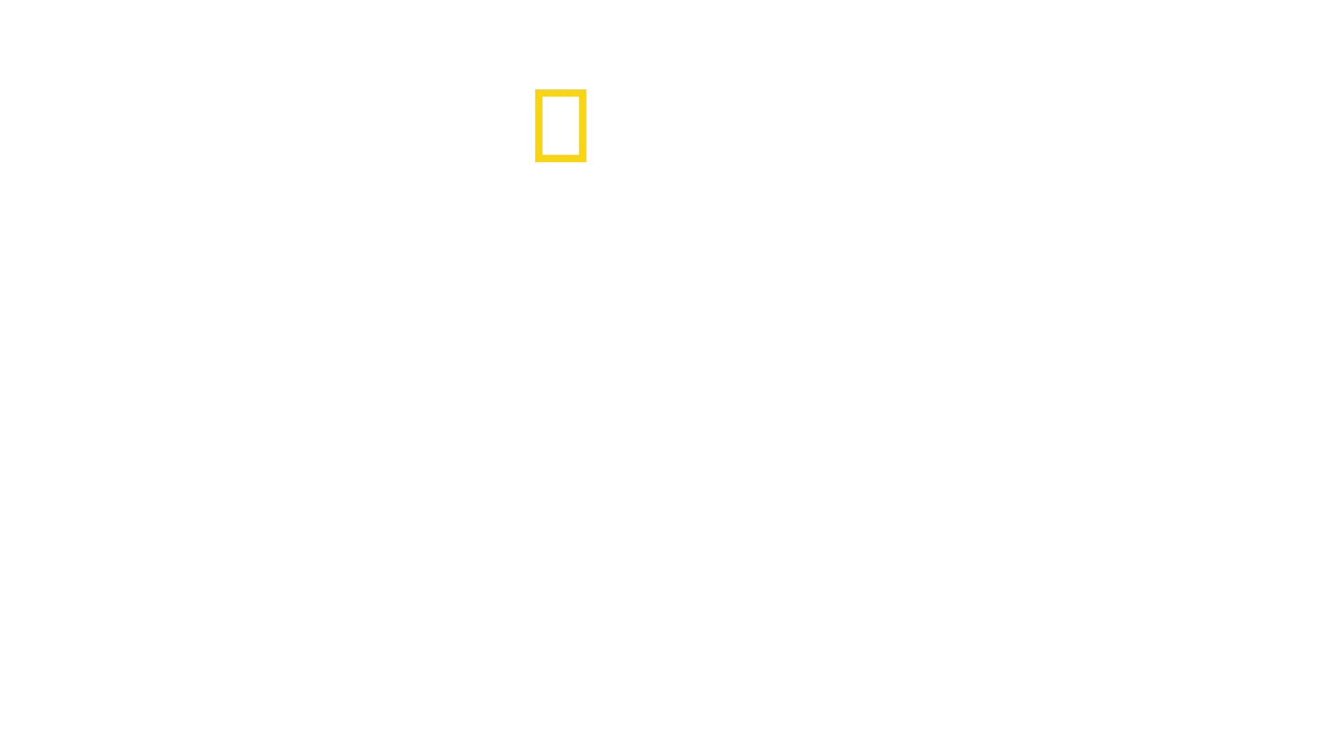 Hitlers sidste kampe