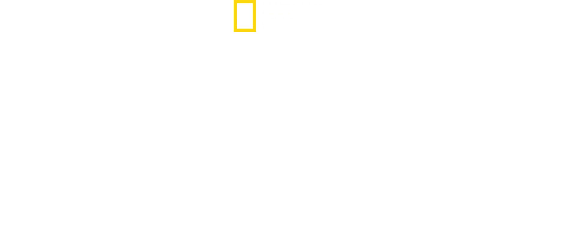 Hitlers sidste kampe