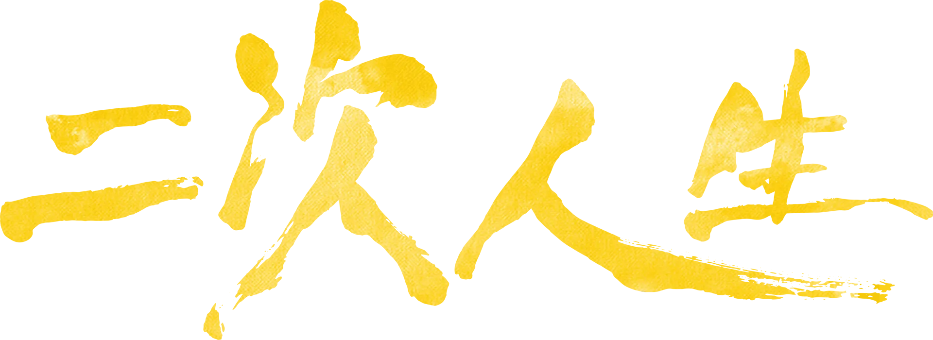 二次人生