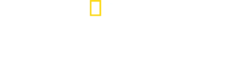 Streghe: verità nascoste