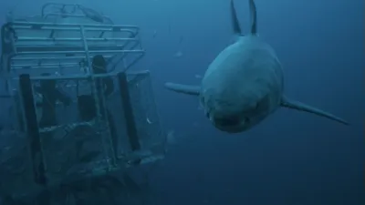 thumbnail - S1:E1 Food, Glorious Food