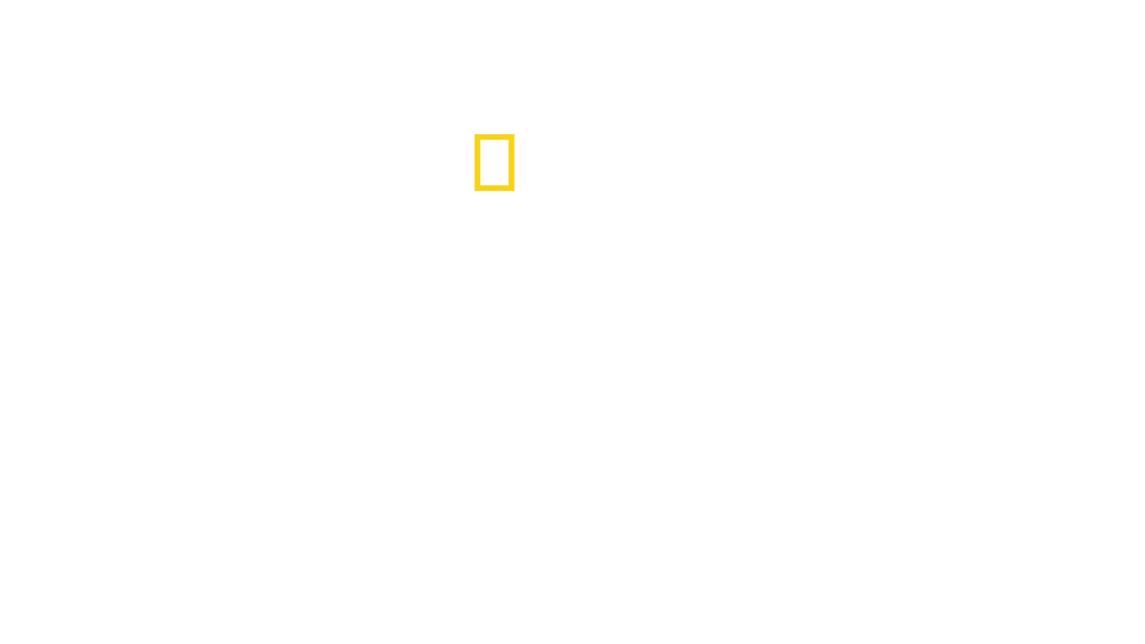 Kayıp Adanın Köpekbalıkları
