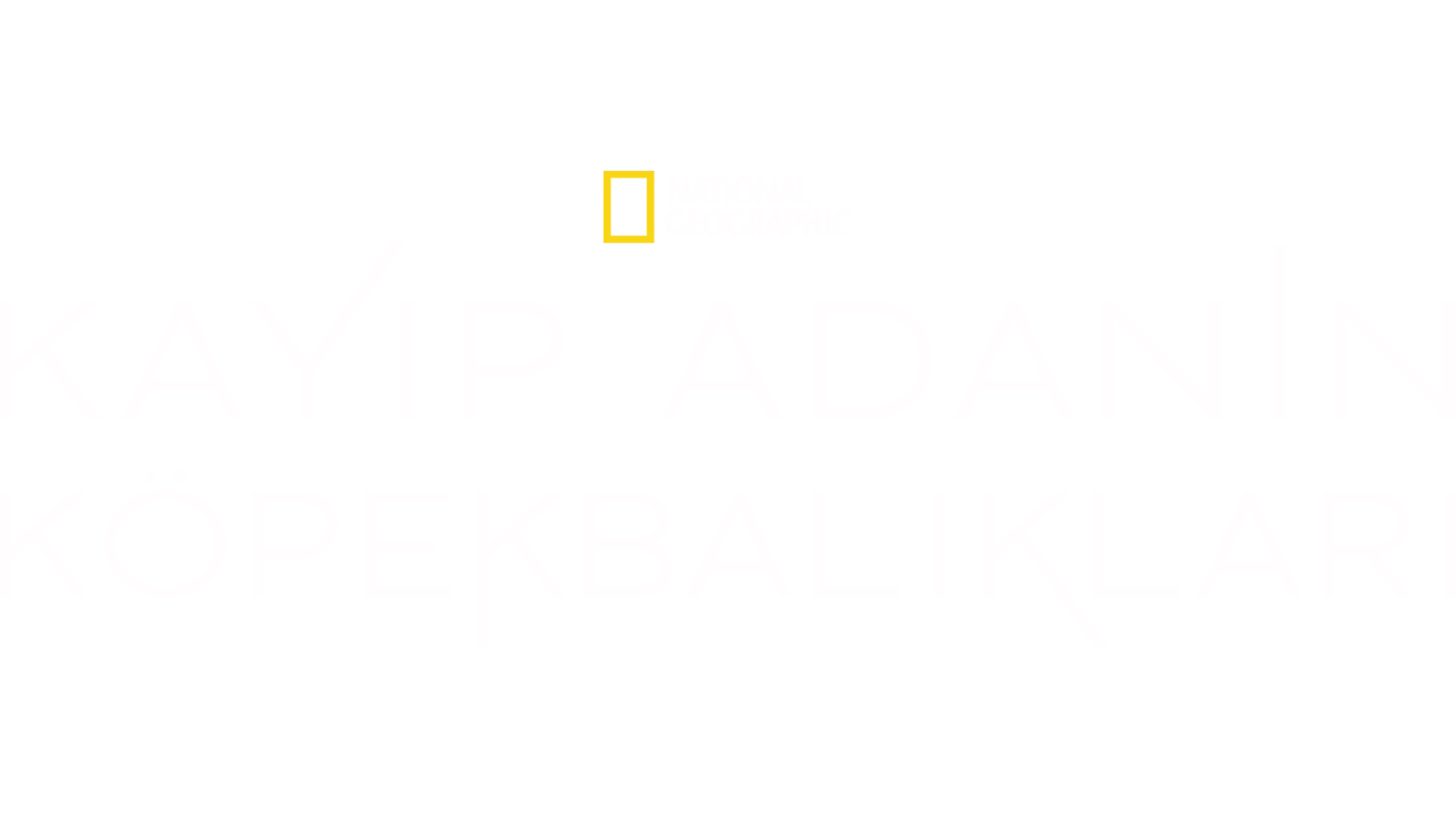 Kayıp Adanın Köpekbalıkları
