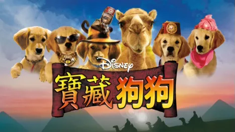 thumbnail - 寶藏狗狗