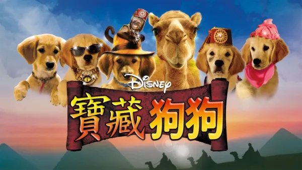 thumbnail - 寶藏狗狗