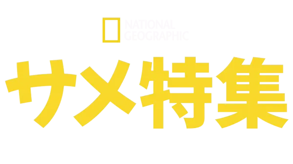 ナショナル ジオグラフィック：サメ特集