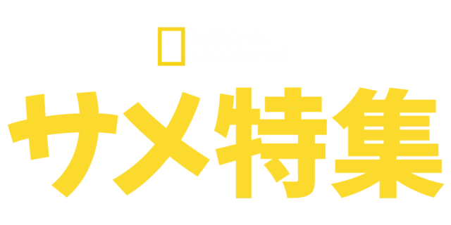 ナショナル ジオグラフィック：サメ特集