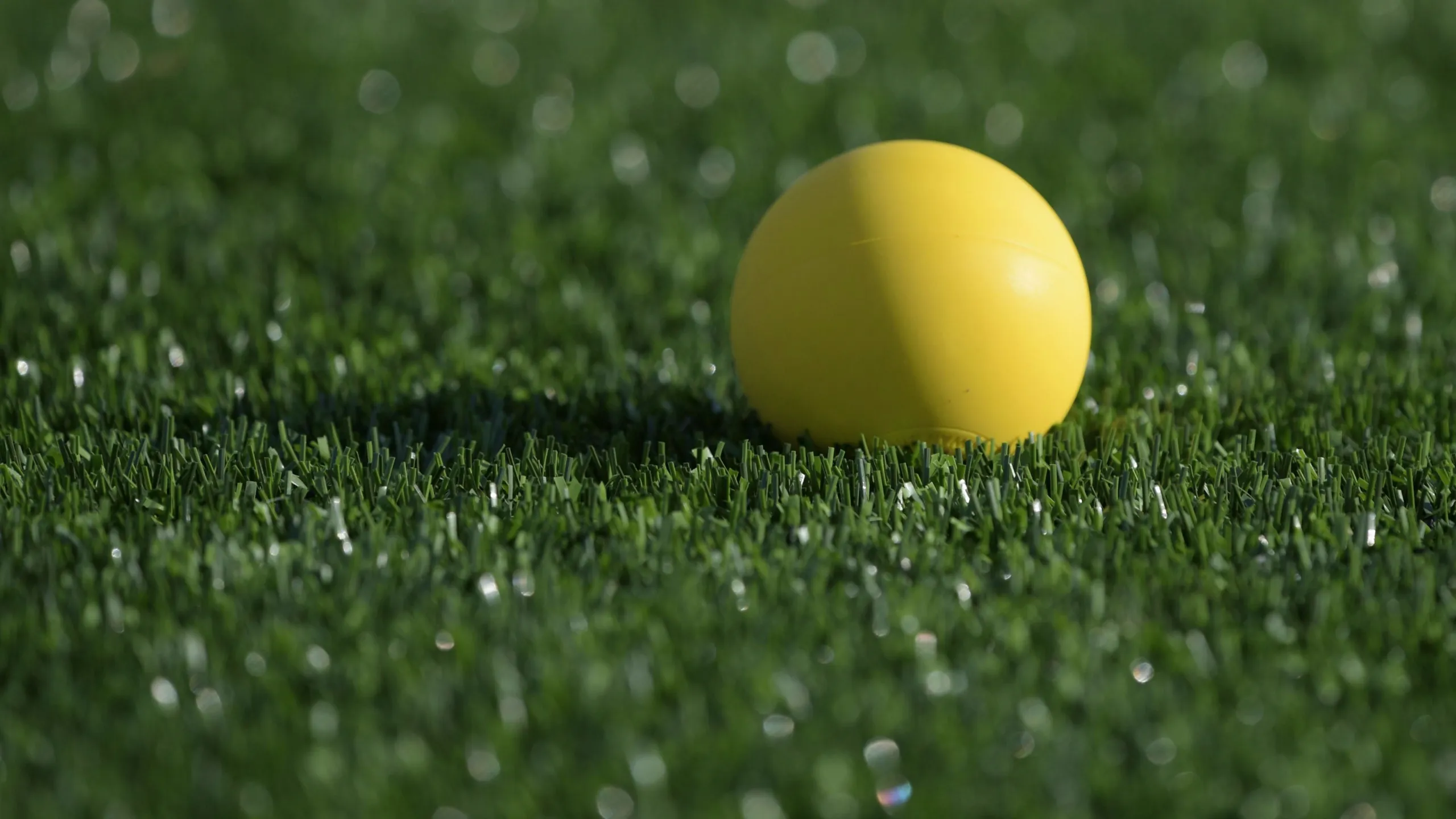 NCAA Women's Lacrosse