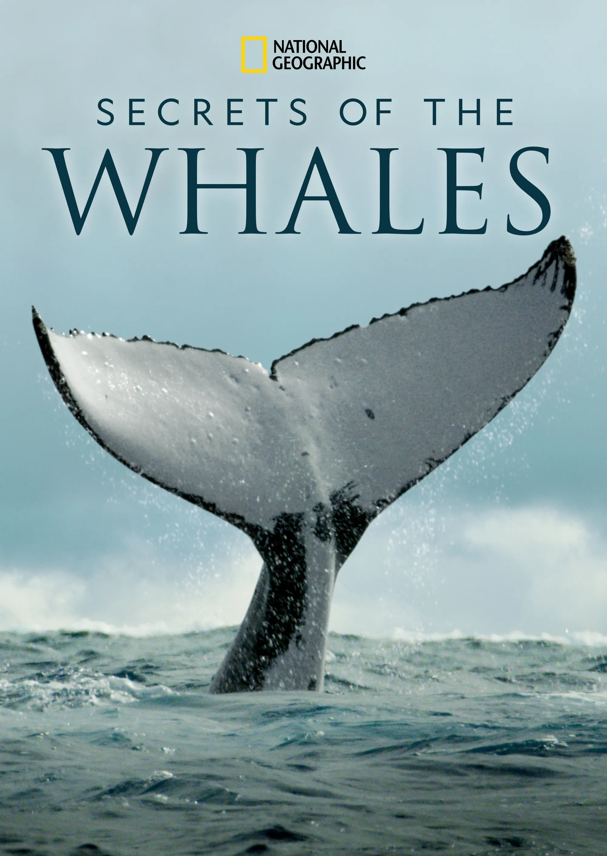 Secrets of the Whales