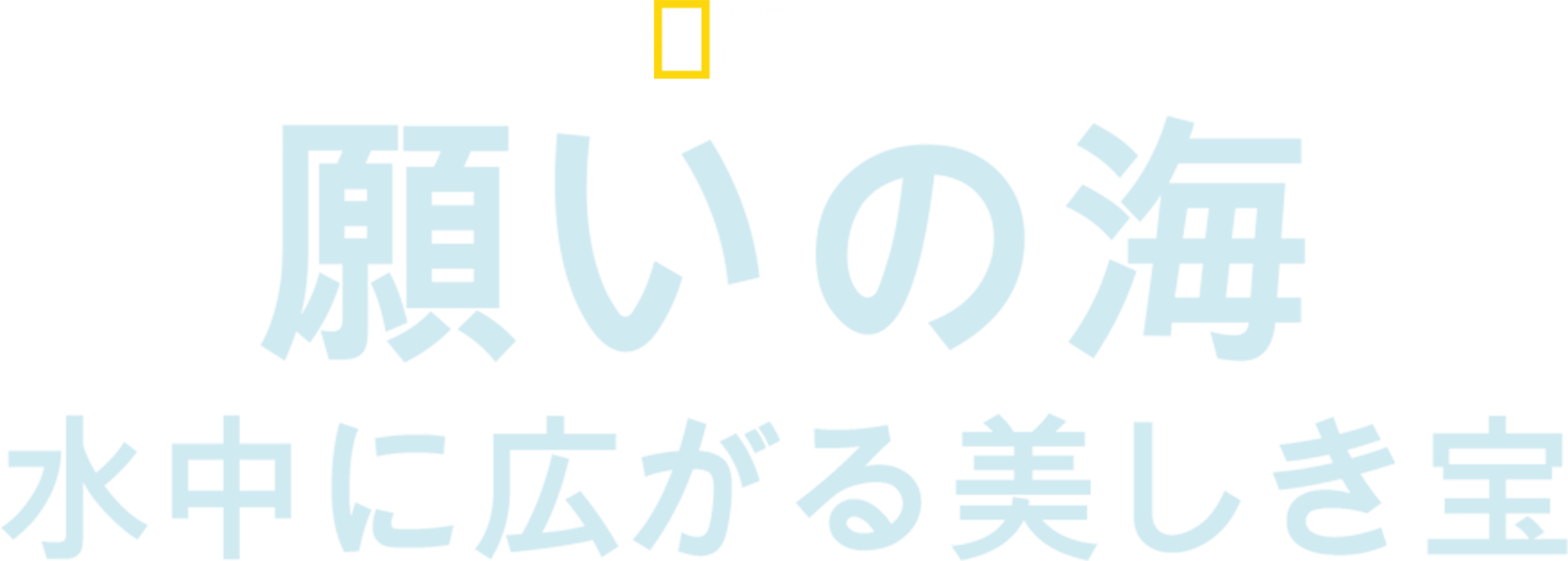 願いの海：水中に広がる美しき宝